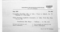 Cronartium flaccidum image